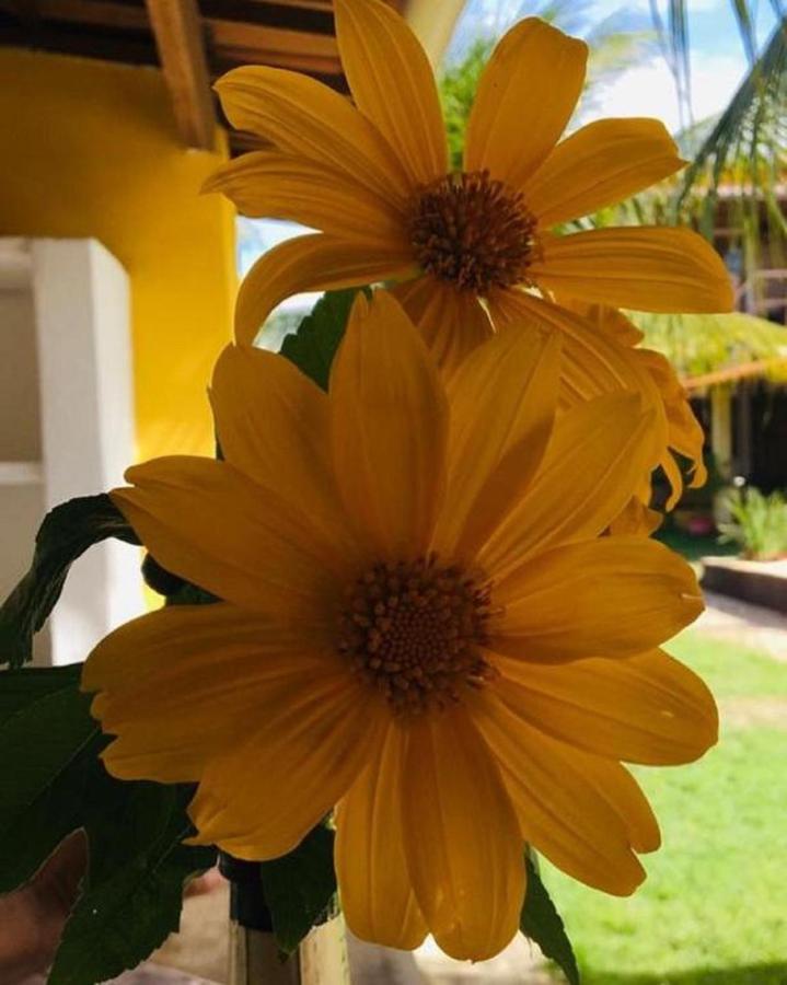 Ello Inn São Miguel do Gostoso